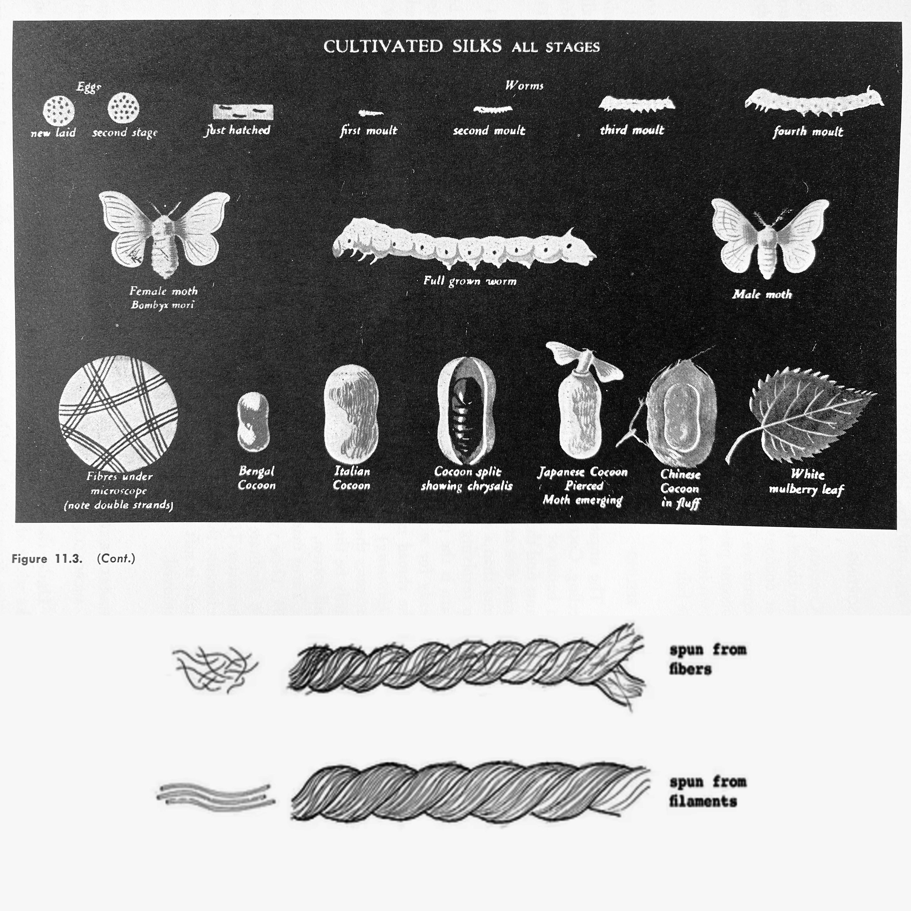 What is Silk Noil? Exploring Our Favorite Silk!