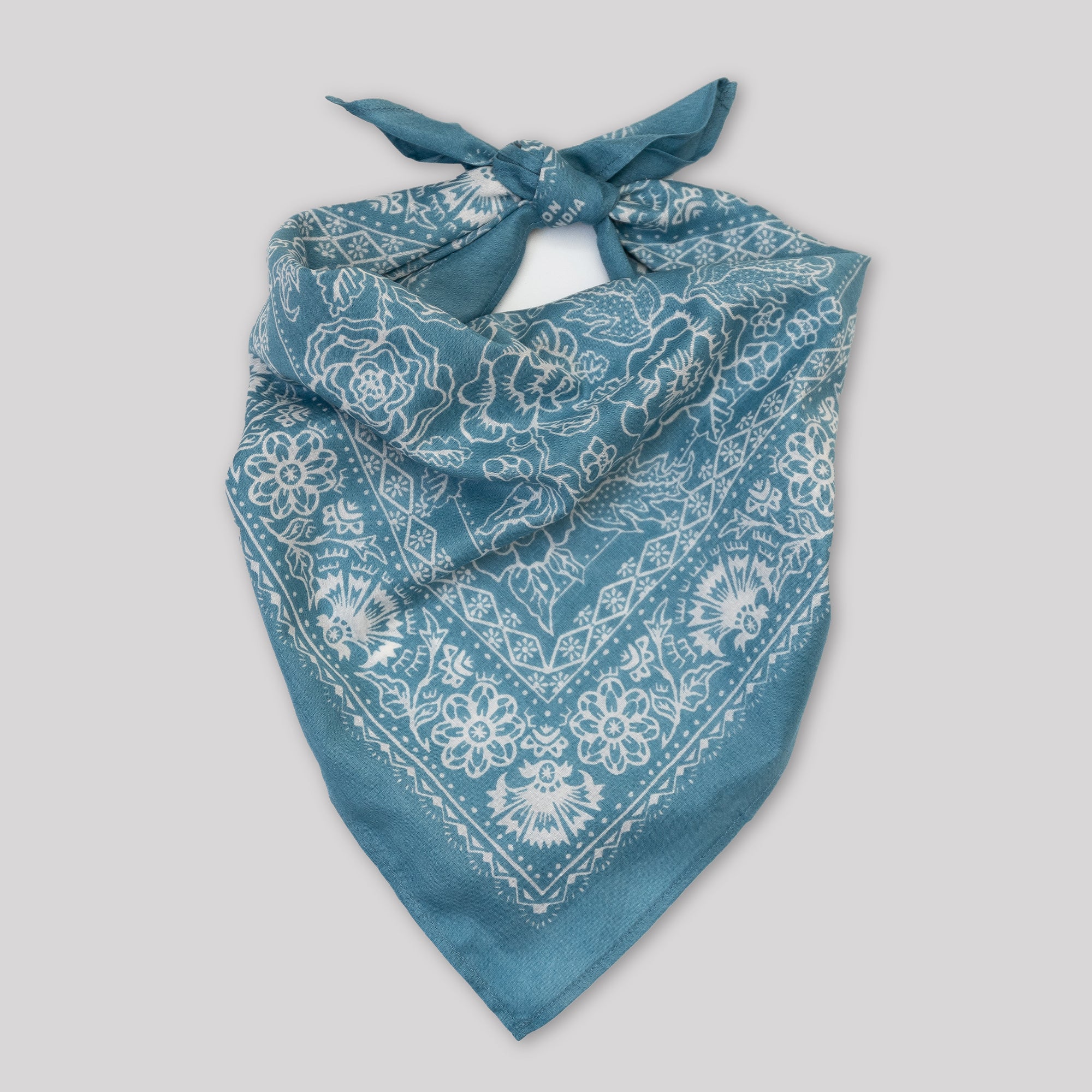 Light Blue Bandana