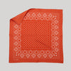 Silk Twill Scarf - Daisy in Chili