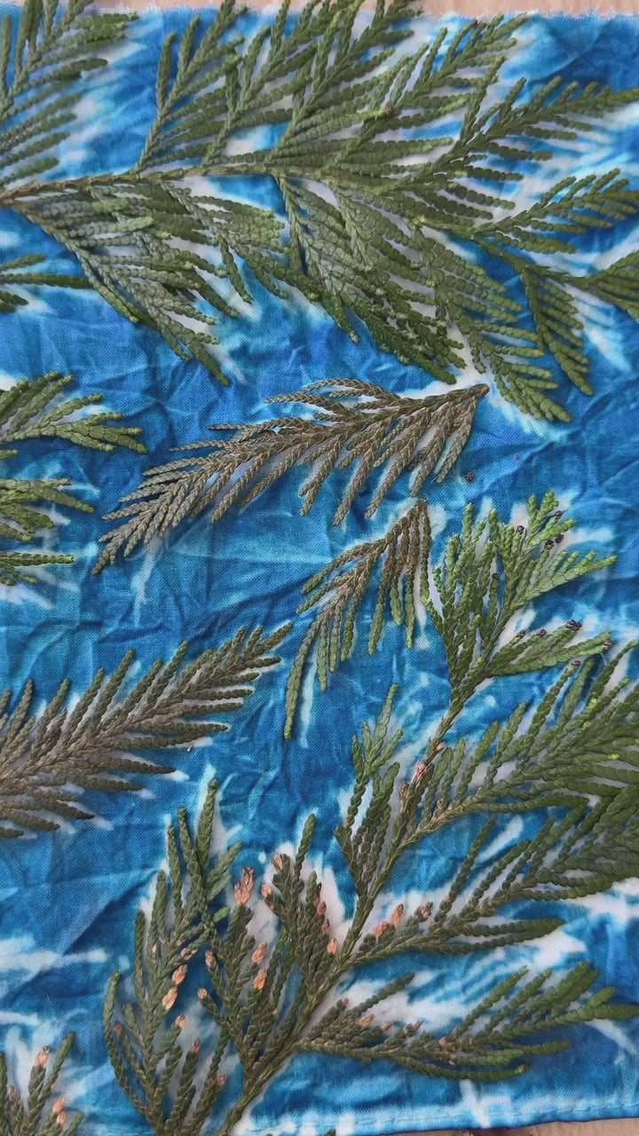 DIY KIT- Cyanotype Bandana