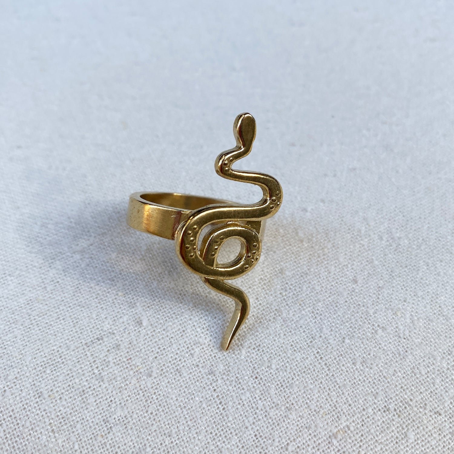 Snake Bandana Slide